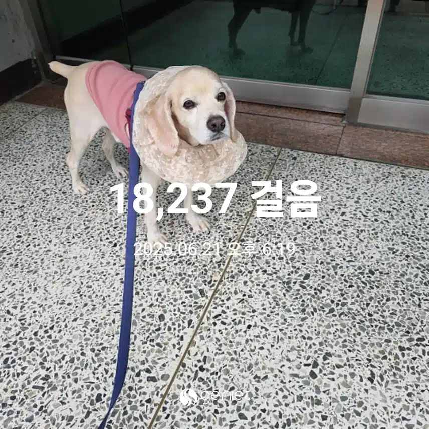 토요일 마무리 
