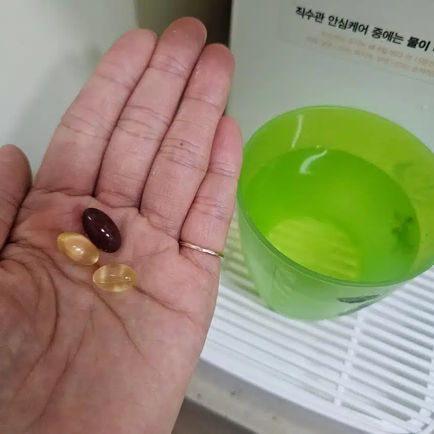 식후 영양제