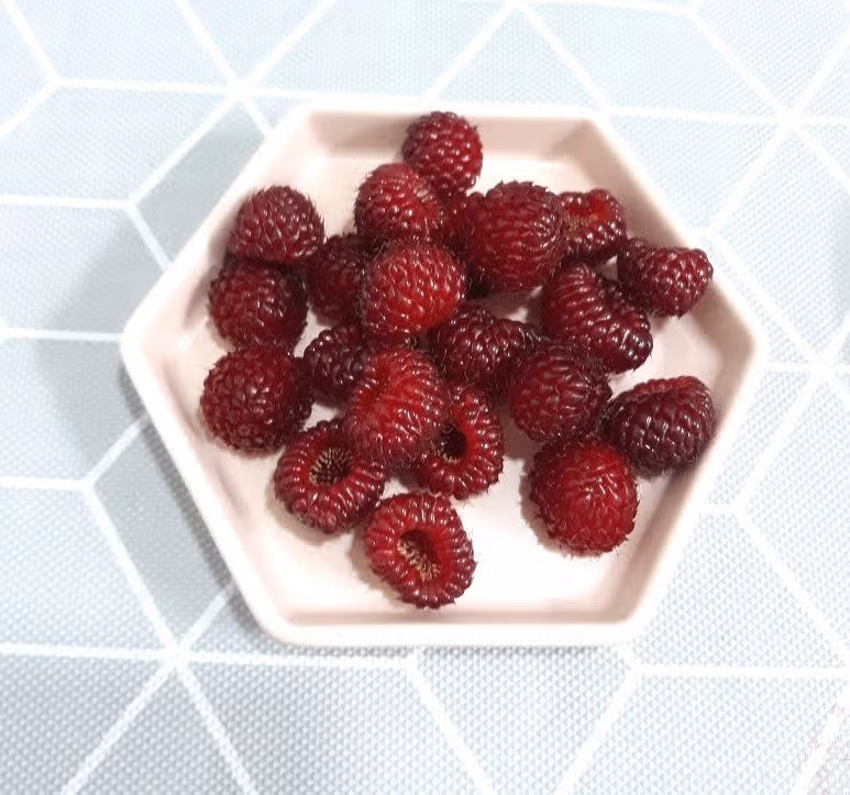 산딸기