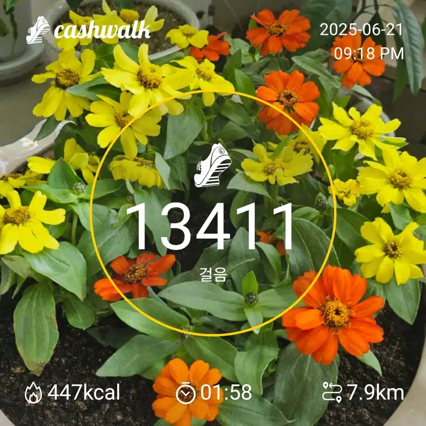 14.6월21일 토요일(밤운동)