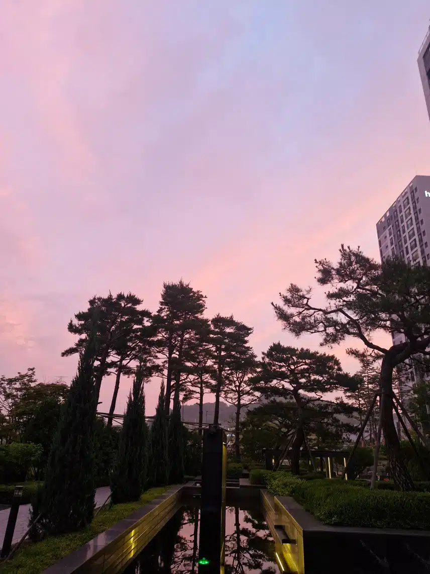 붉은 노을속으로 걸어갑니다.