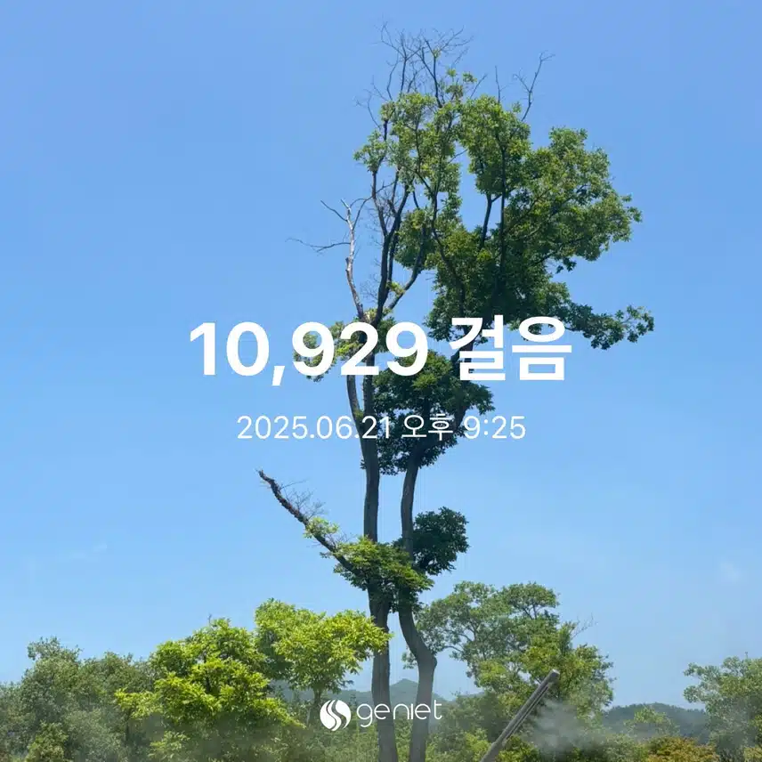 6월21일 토요일 만보 완성