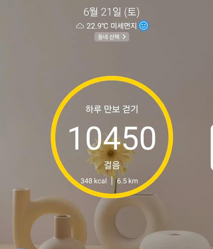 1만보 걷기 운동