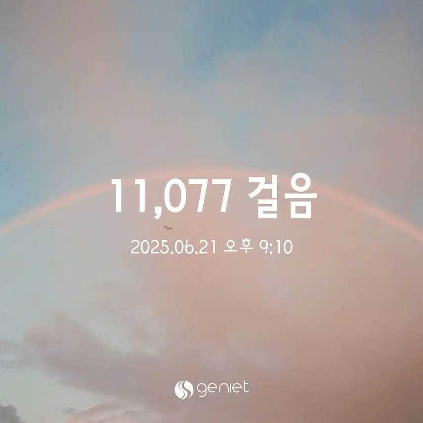 6/21 토 만보걷기 