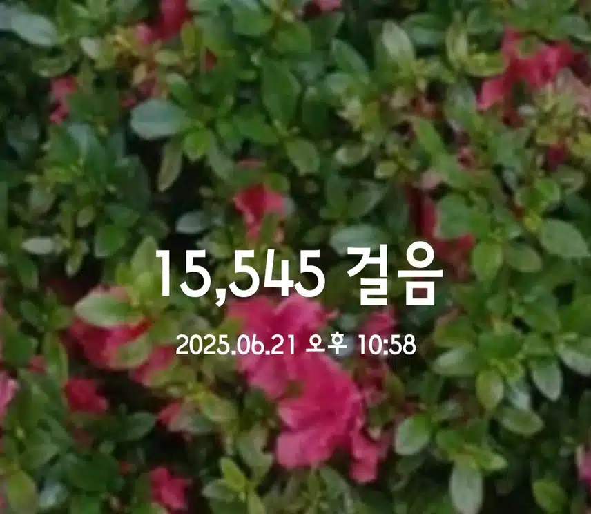만보걷기 