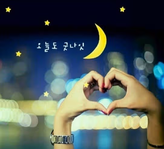 굿밤되세요 ~