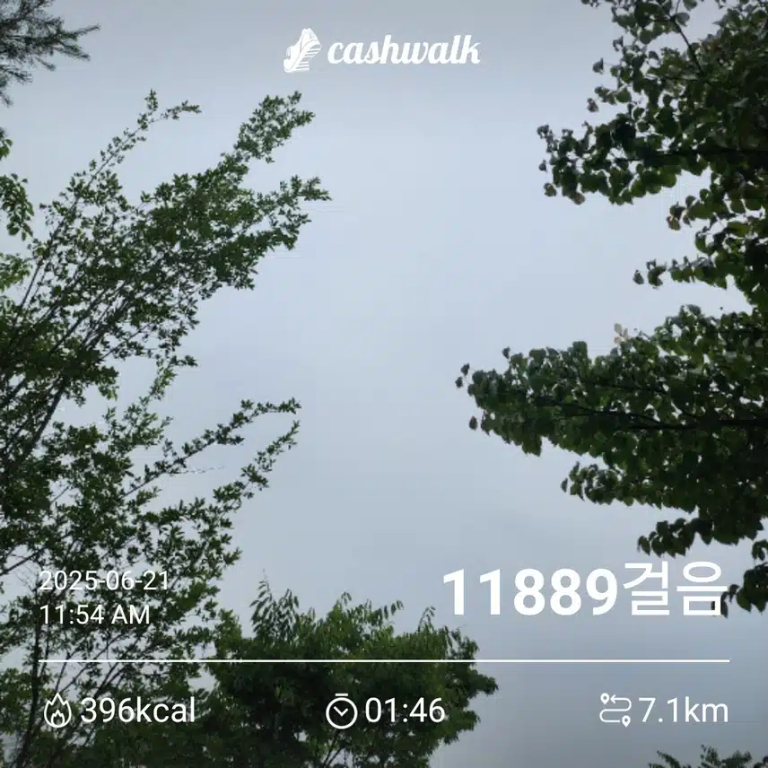 토요일 만보걷기 ~✌️