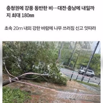 장마시작 ㅡ건강유의