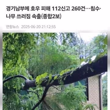 장마시작 ㅡ건강유의