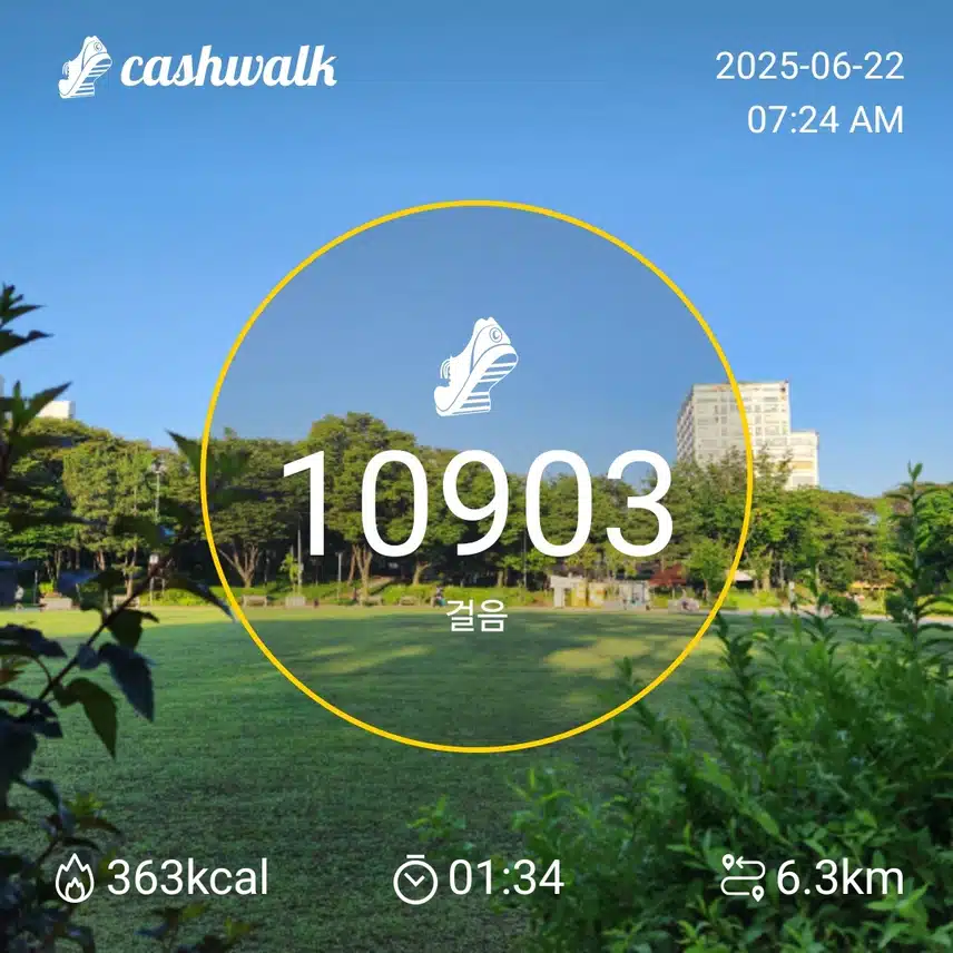 일요일 아침 만보걷기 