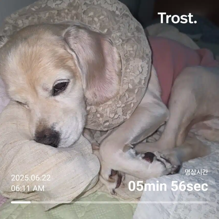일요일 아침 
