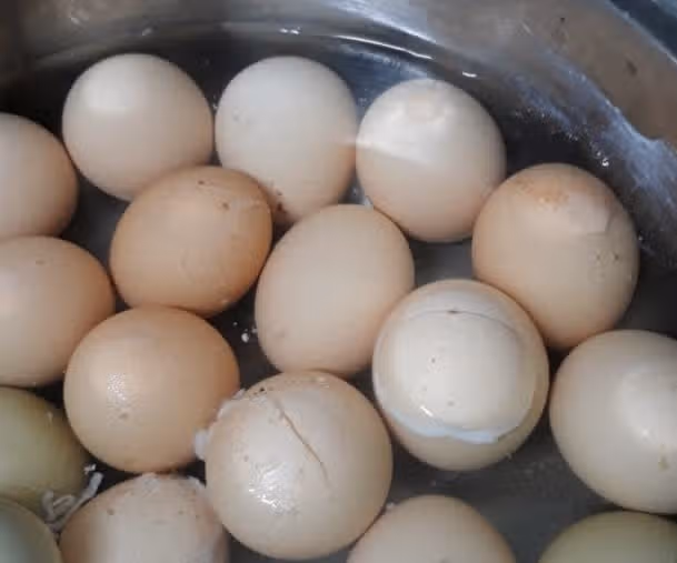 계란 삶아 먹었어요