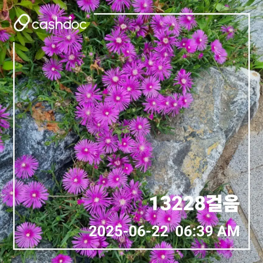    오늘도 고맙게 새벽운동 감사함을
