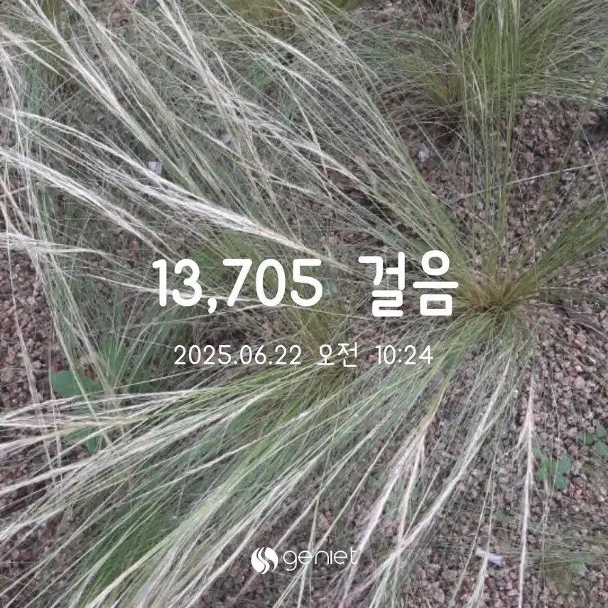 6.22 만보