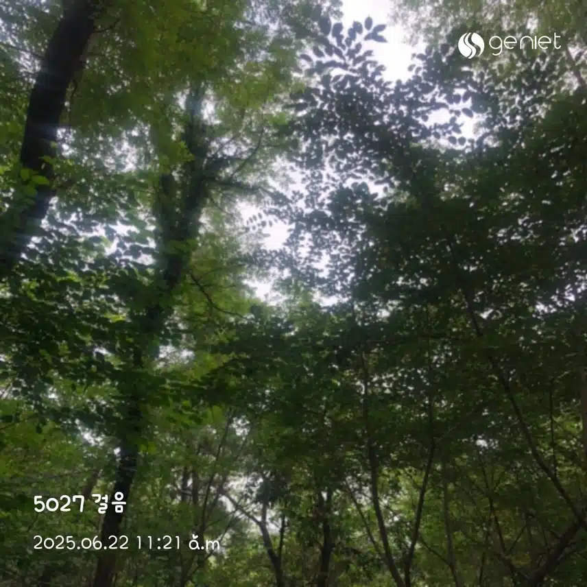 오전산책~
