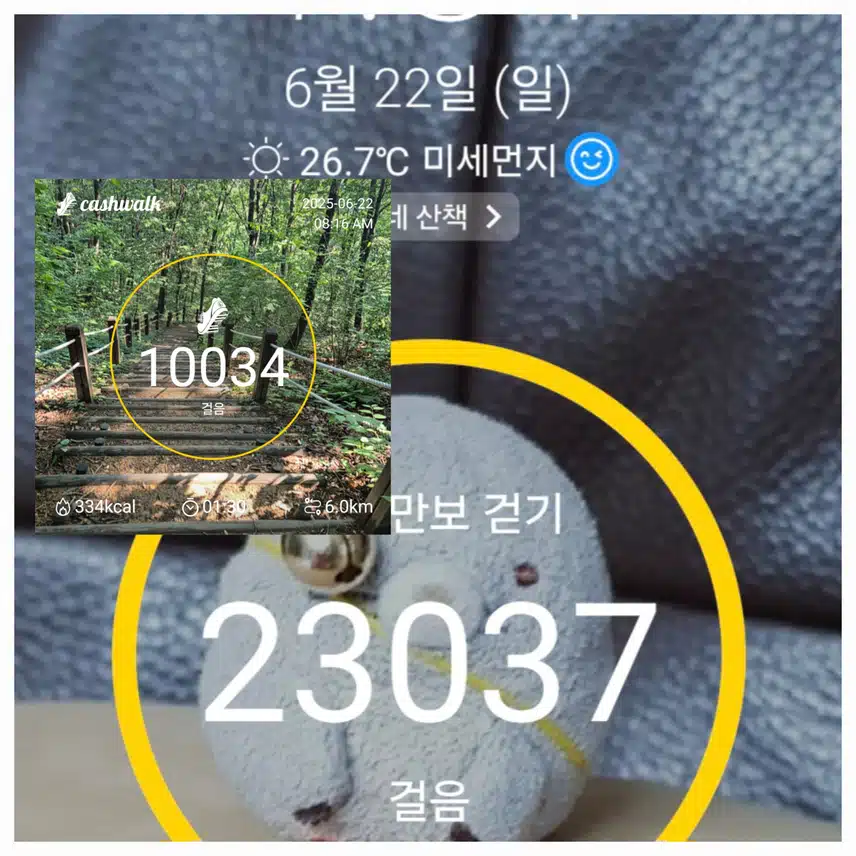 ⛰️산이 쫗아욧~🥰 등산으로 만보걷기 완료~😂