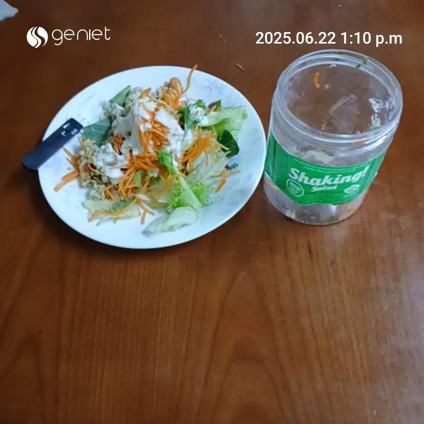 저당 식품인 쉐이킹 샐러드 식용후기