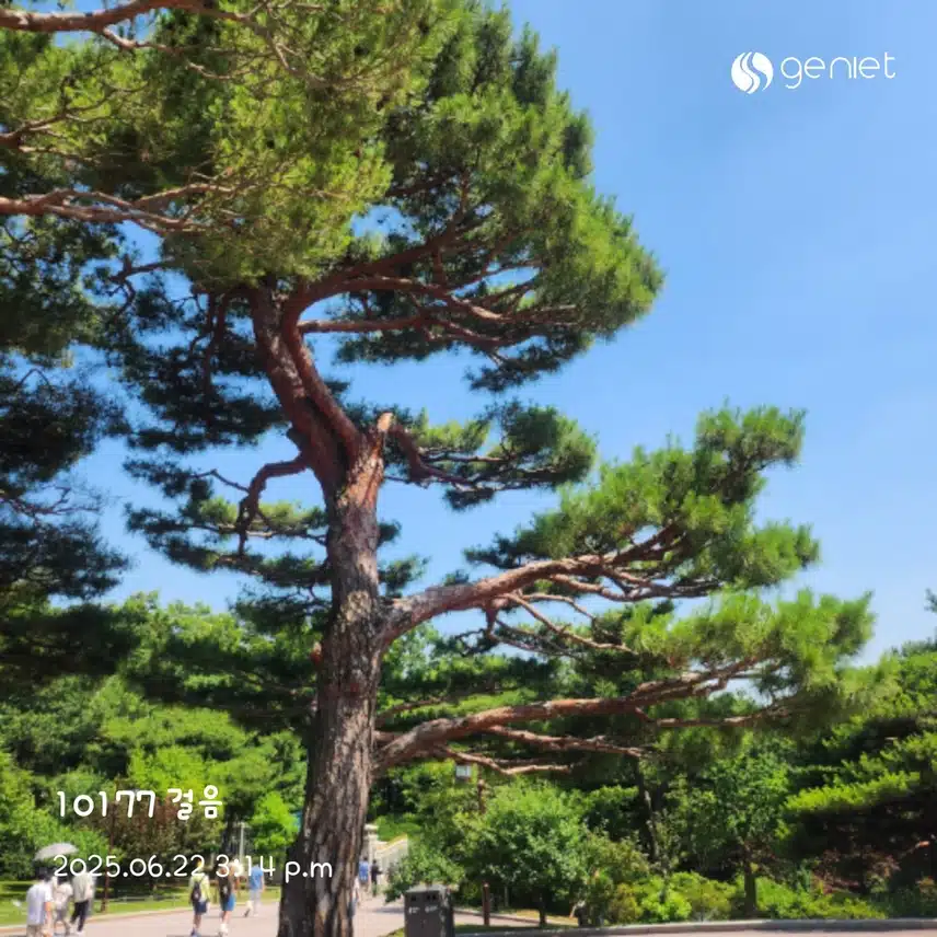 오후 산책길~