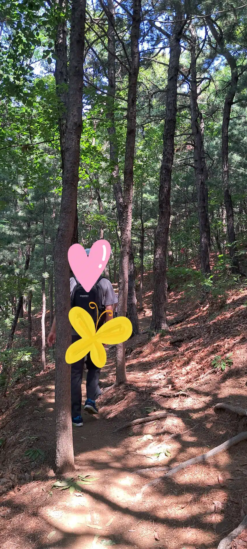 어쩐일로 같이 산에