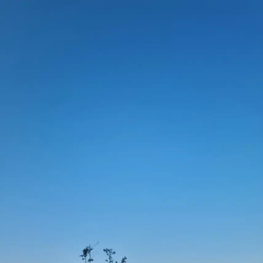 오늘 하늘