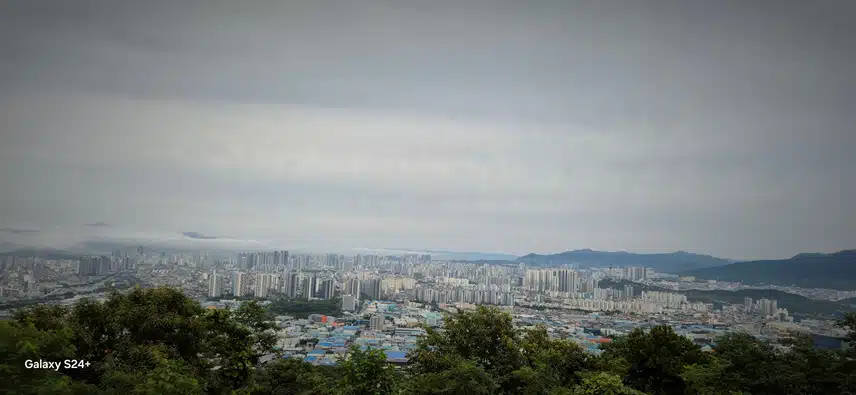 어젯밤까지 쏟아지는 비는 그쳤습니다.아침 일찍 산행에 나셨어요  좀 걸었답니다 후덥지근 하여 땀도 엄청 흐리고..게으름 피우다가  이제서야. 올립니다 