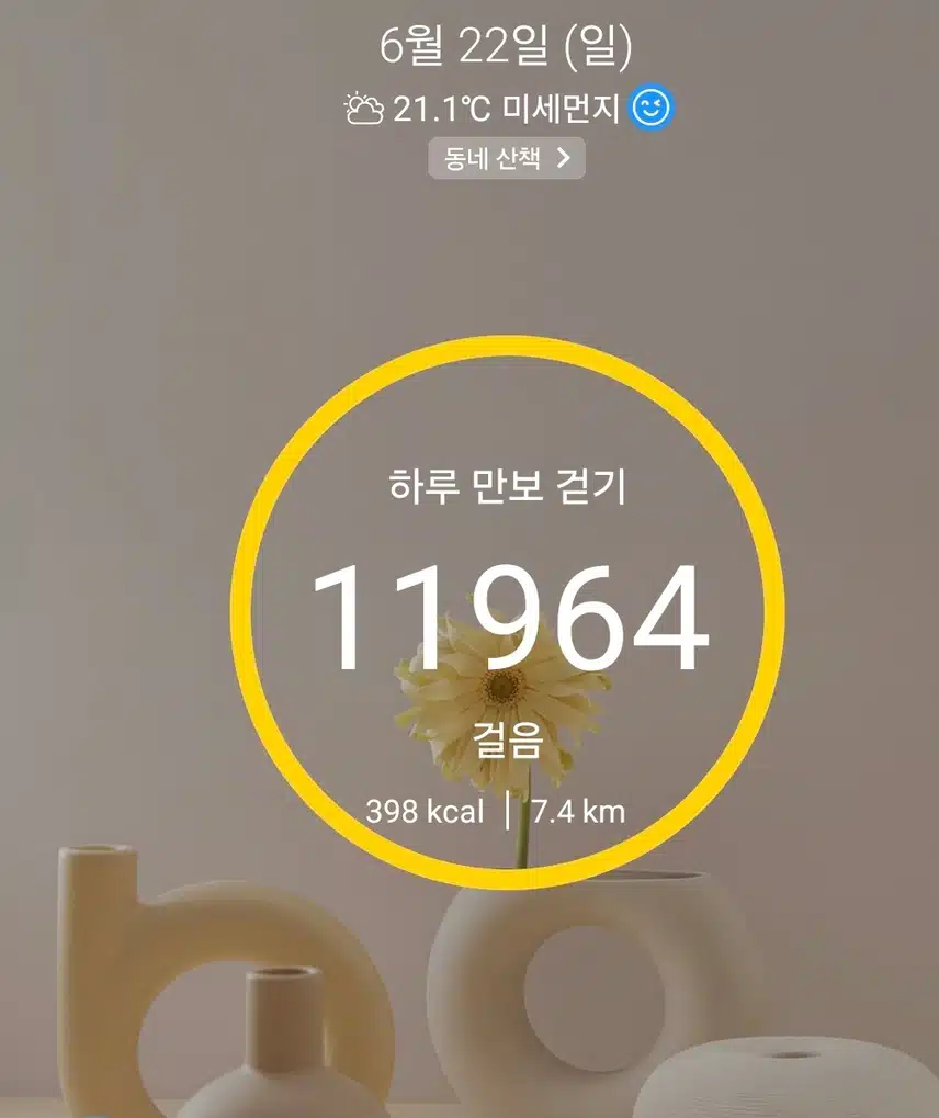 1만보 걷기 운동 