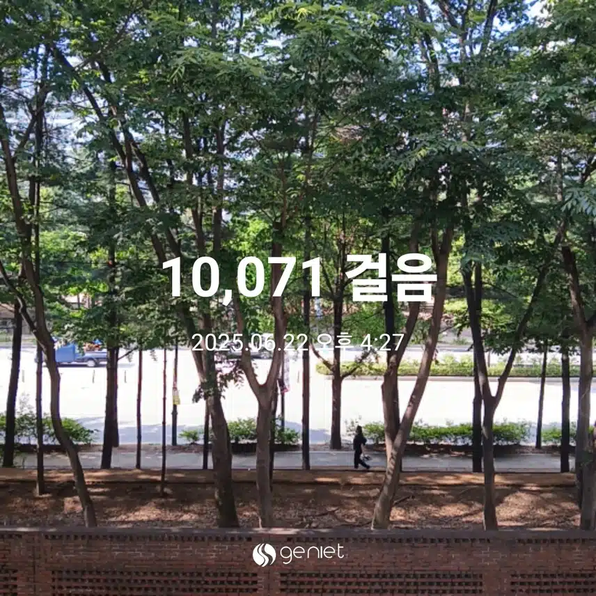 일요일 걷기운동^^