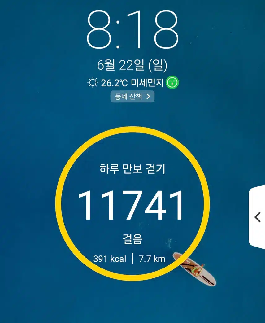 오늘도 만보인증