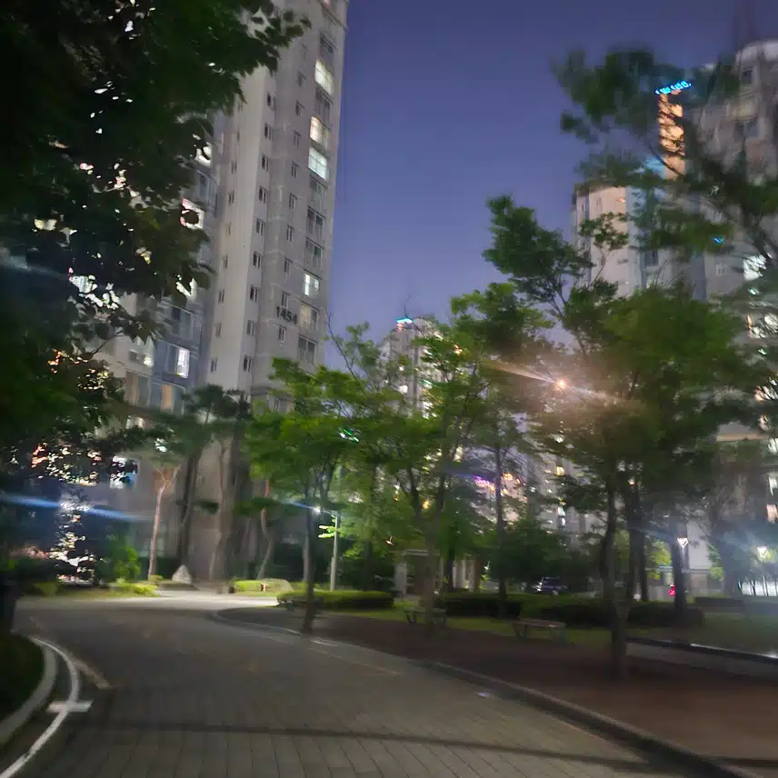걷기운동 시작