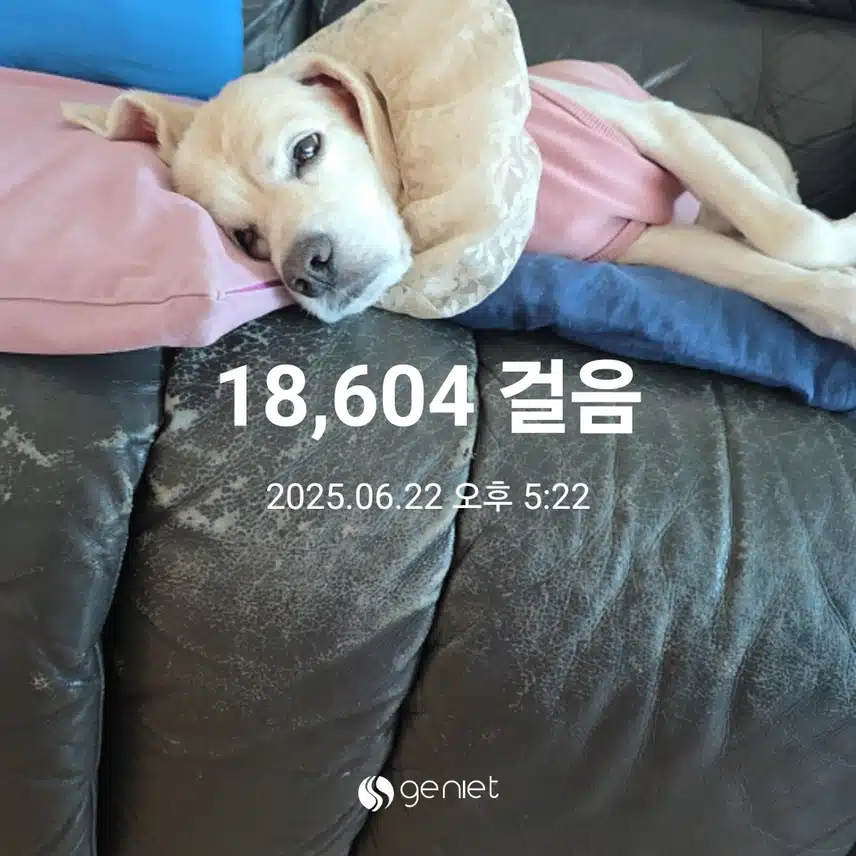 일요일 마무리 