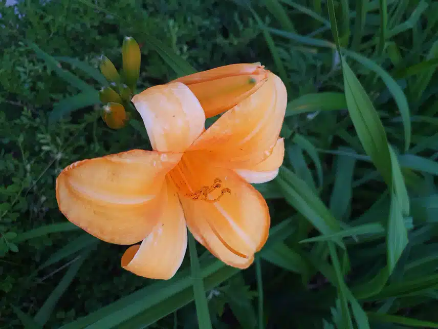 저녁에 단지를 걸으며~♤