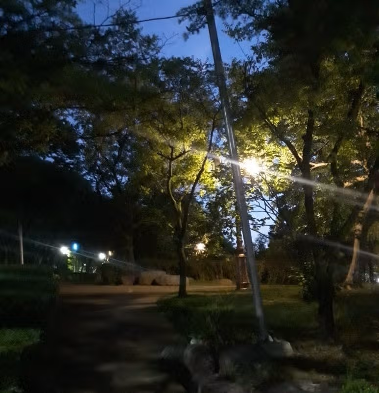 저녁 산책