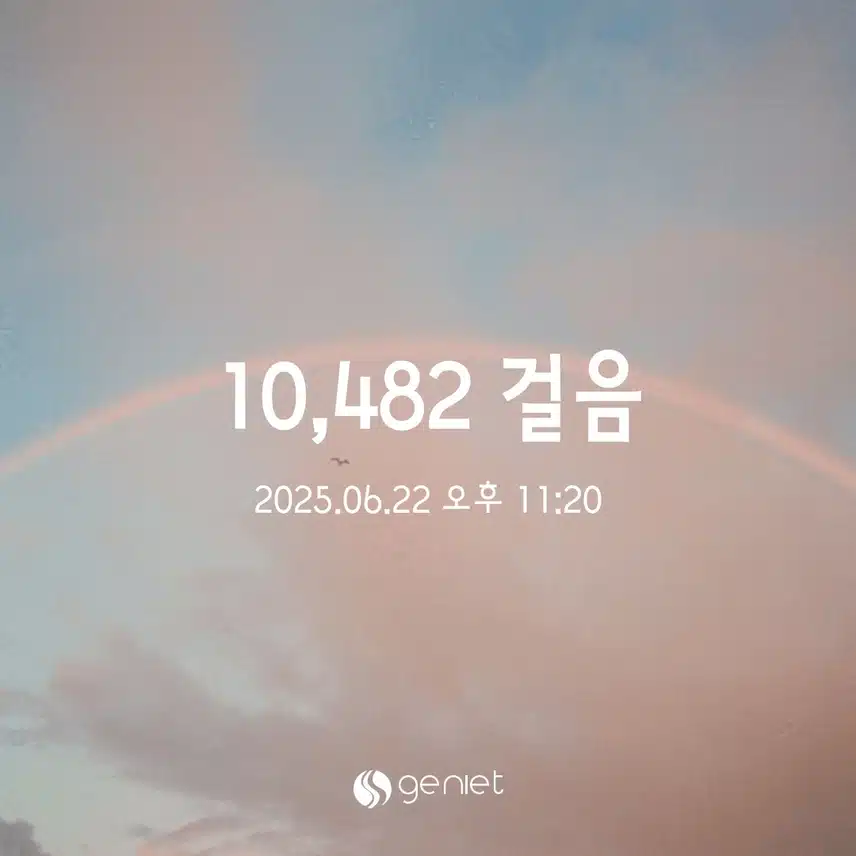 6/22 일 만보걷기 