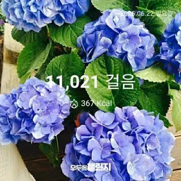 6월 22일 만천보 완주 