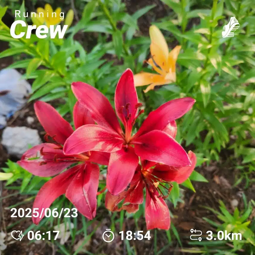 월요일 아침 러닝3km 완주