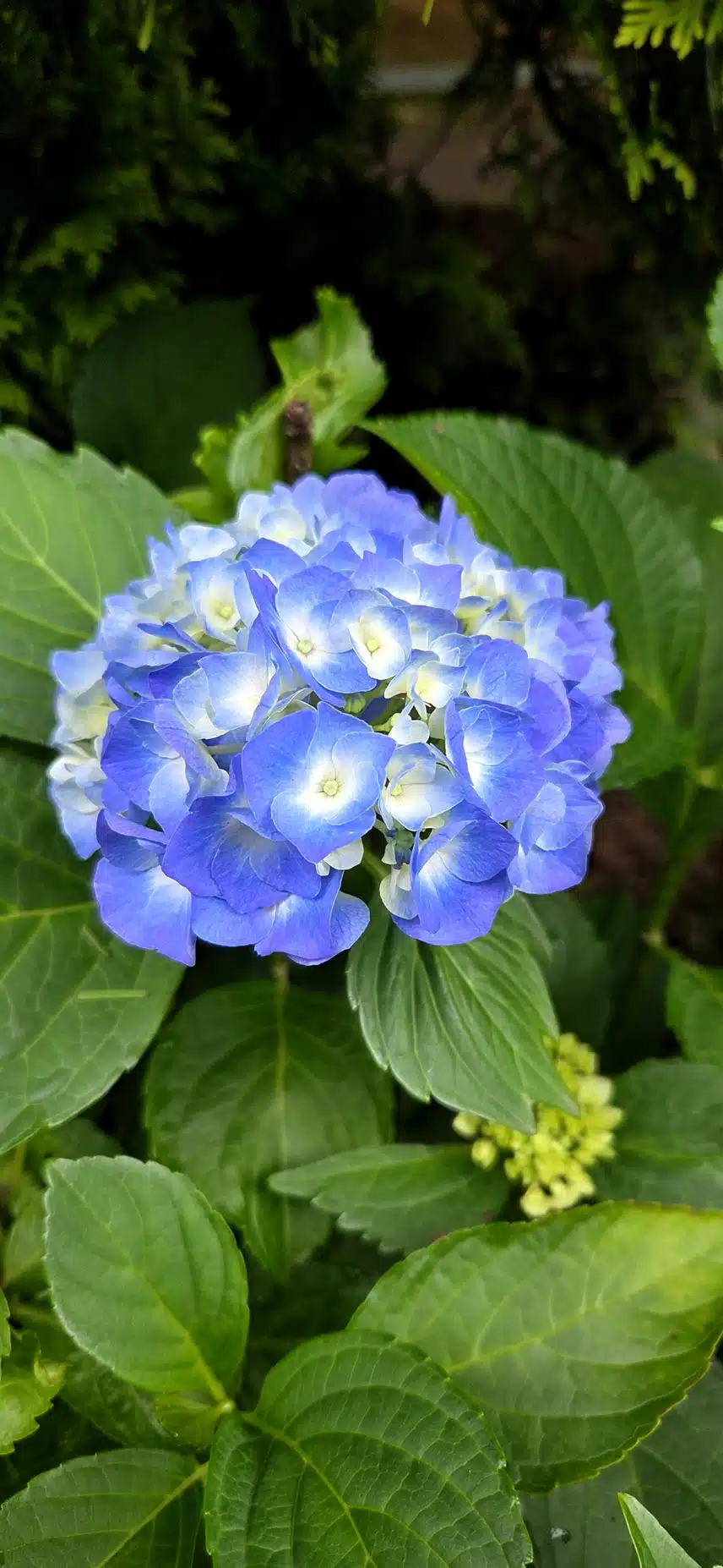 아무거나 찍기^^  함께해요