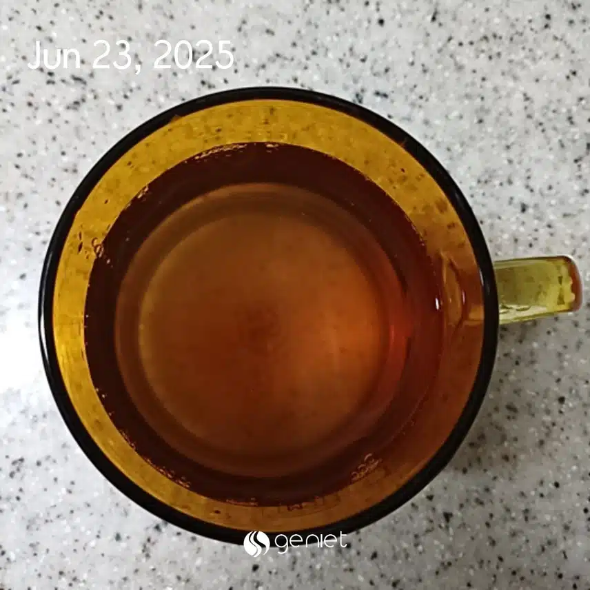 보리차로 시작해요 