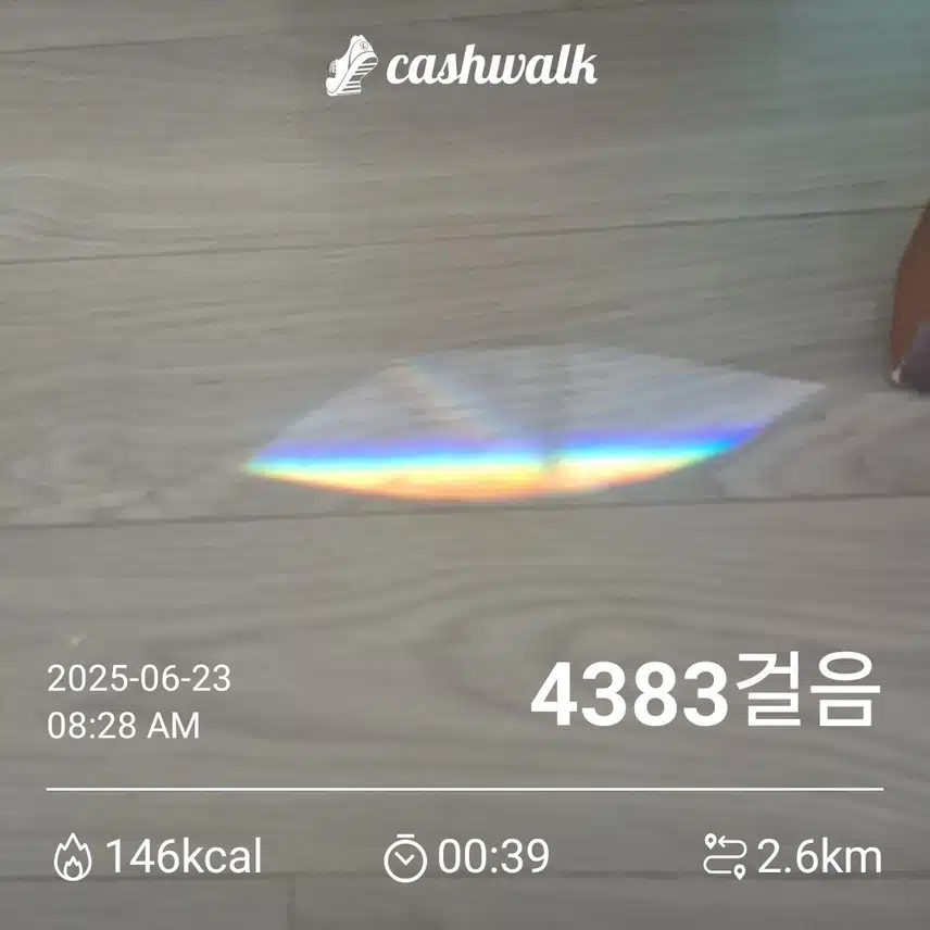 집에찾아온 🌈무지개🌈 저를 반겨주네요~
