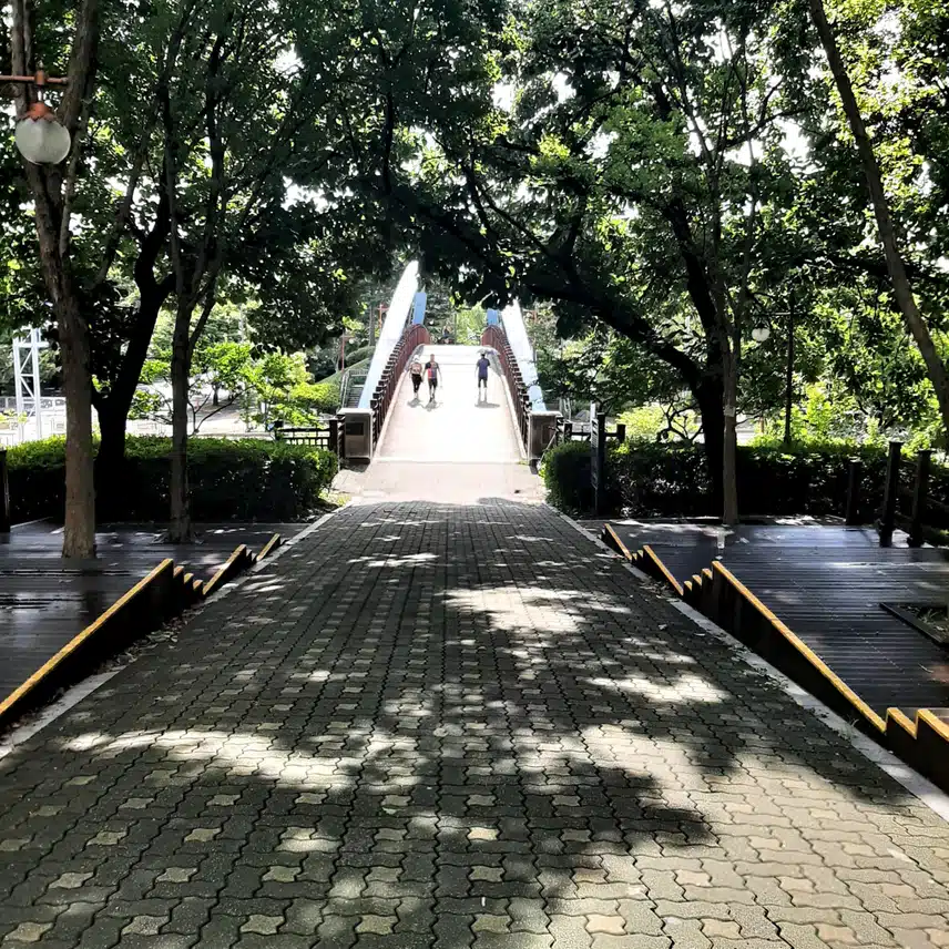 시원한 자연 선풍기 바람맞으러 하늘 공원가요.