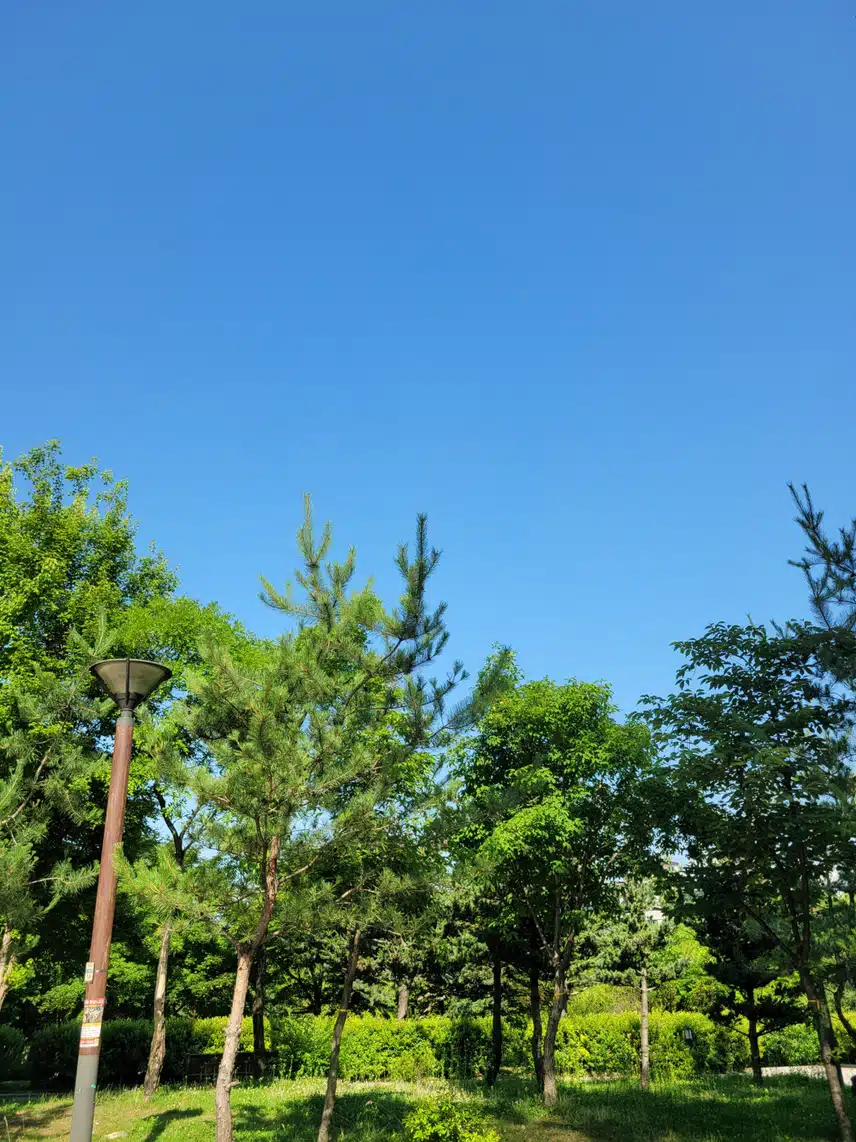 날씨가 좋아요