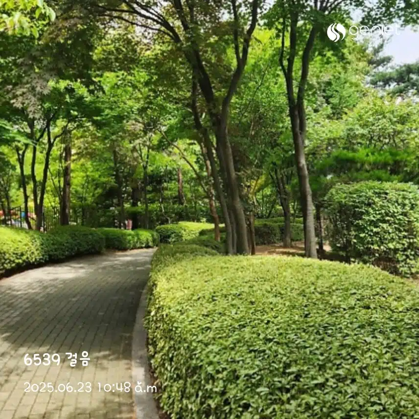 오전 산책~
