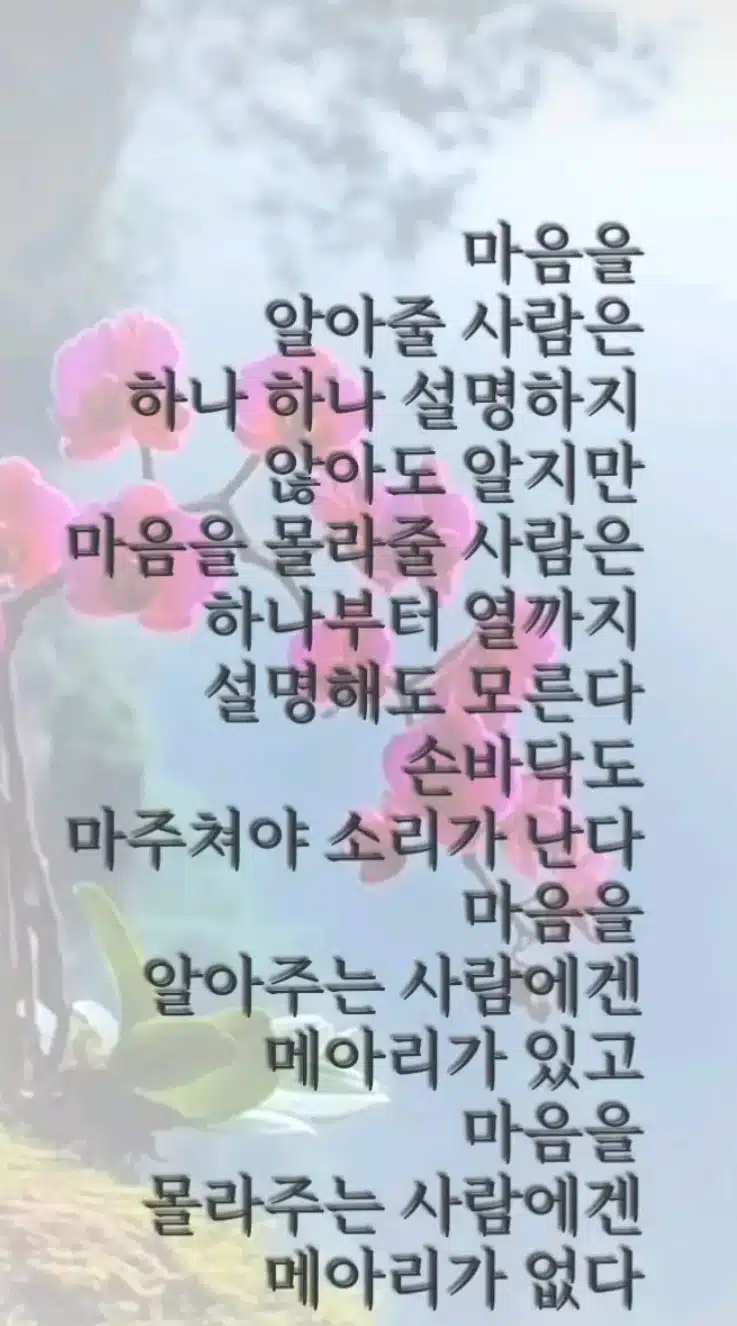 마음의 메아리