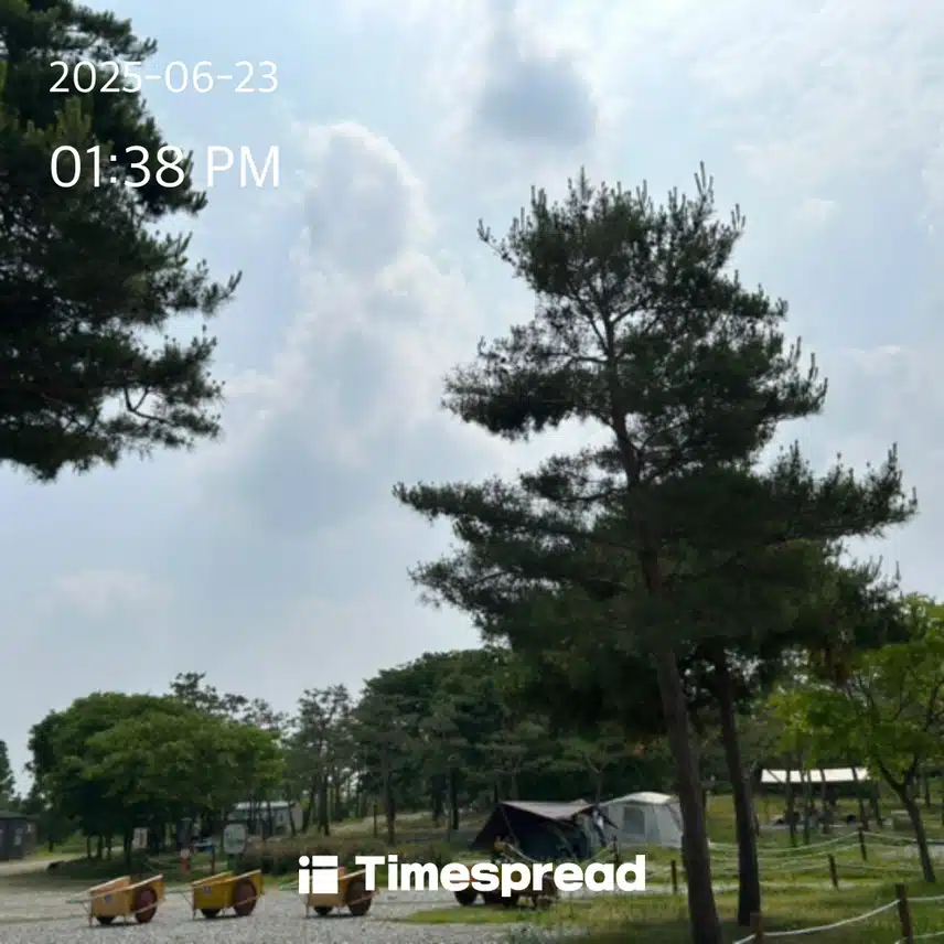 산책하기