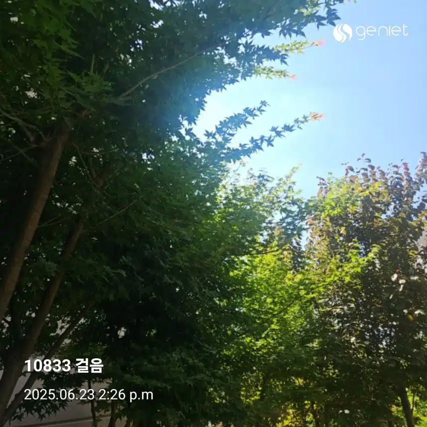 더위를 피해 체력단련실로  🏃