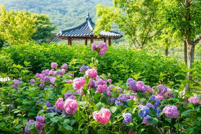 산책하기 좋은 화명 부산 수목원