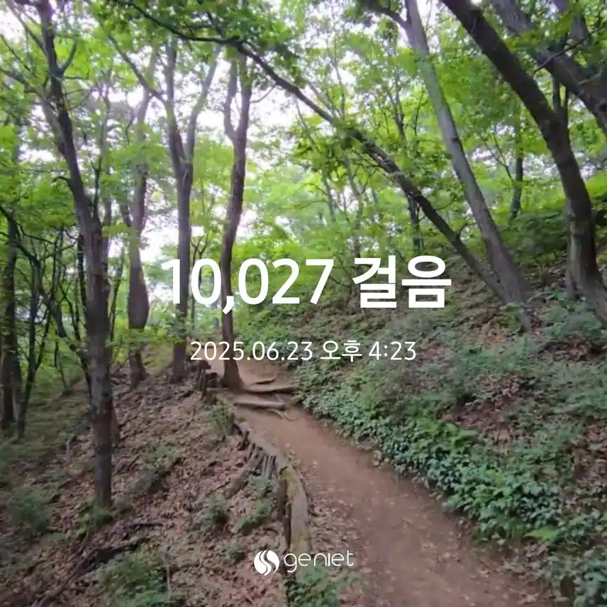 만보걷기 성공