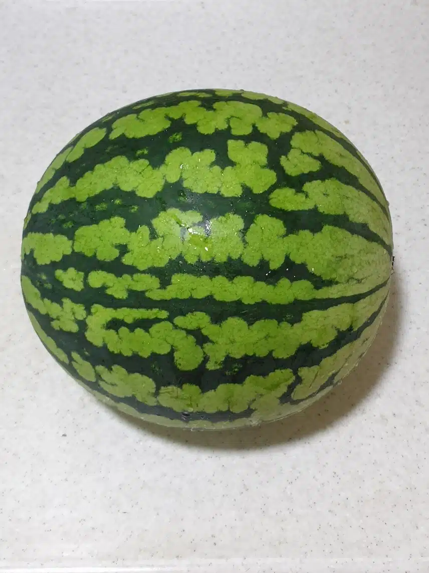 수박 샀어요 