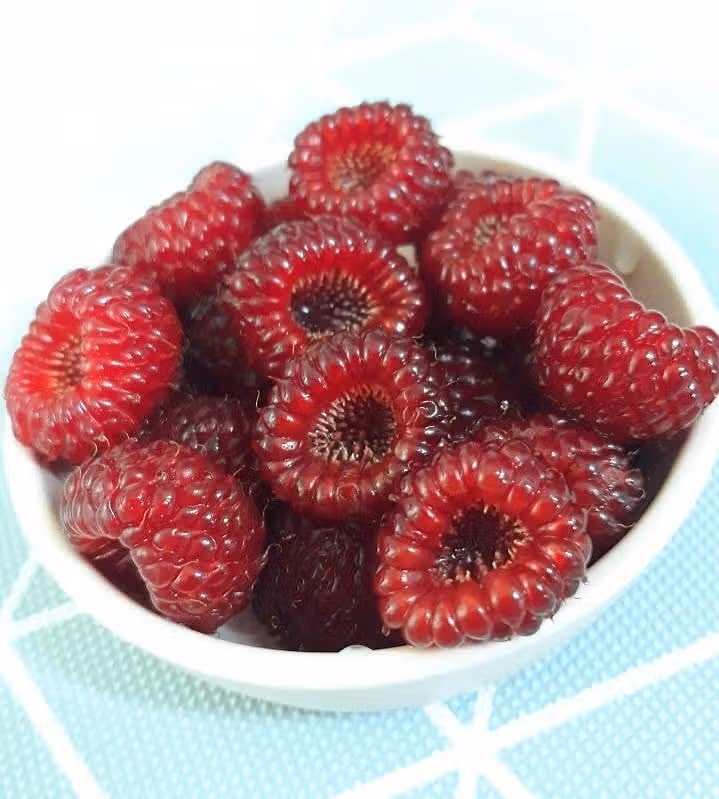 잘익은 산딸기