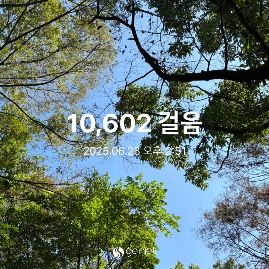 오늘 열심히 걸었어요