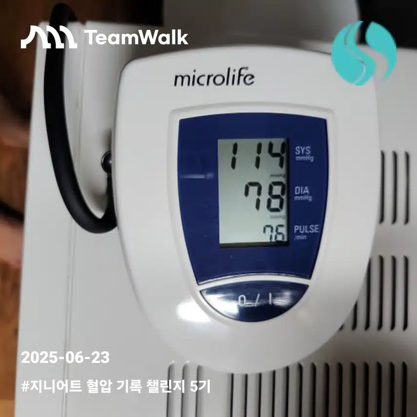 혈압기록인증